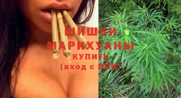 эйфоретик Покачи