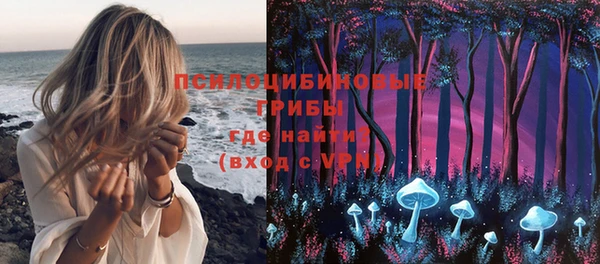 молекула духа Абинск