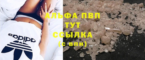 эйфоретик Покачи