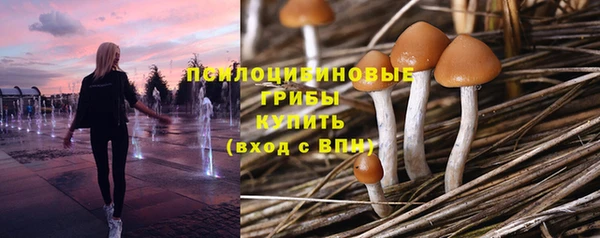 ECSTASY Алексин
