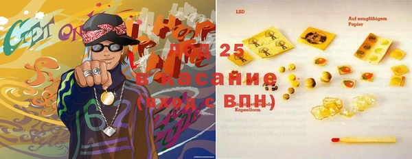 эйфоретик Покачи